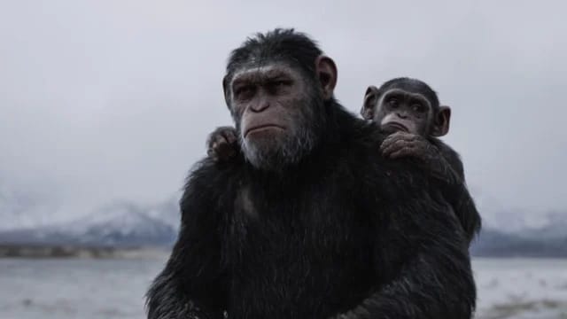 Filme da Tela Quente de Segunda (09/08): Planeta Dos Macacos: A Guerra (Imagem: Divulgação)