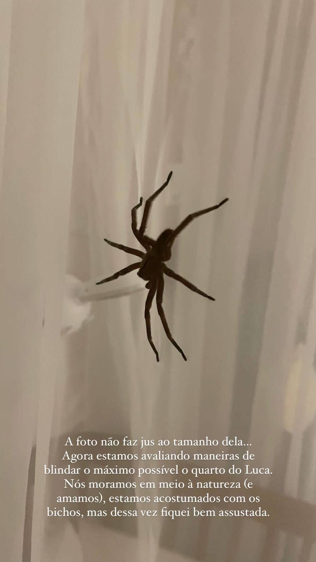 Esposa de Lucas Lucco encontra aranha gigante no berço do filho pequeno (Reprodução/Instagram)