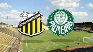 A Record exibirá no próximo domingo a partida entre Palmeiras e Novorizontino (Foto: Reprodução)