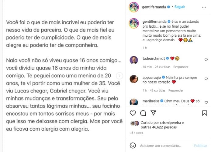 Post de Fernanda Gentil em homenagem à Nala (Foto: Reprodução/Instagram)