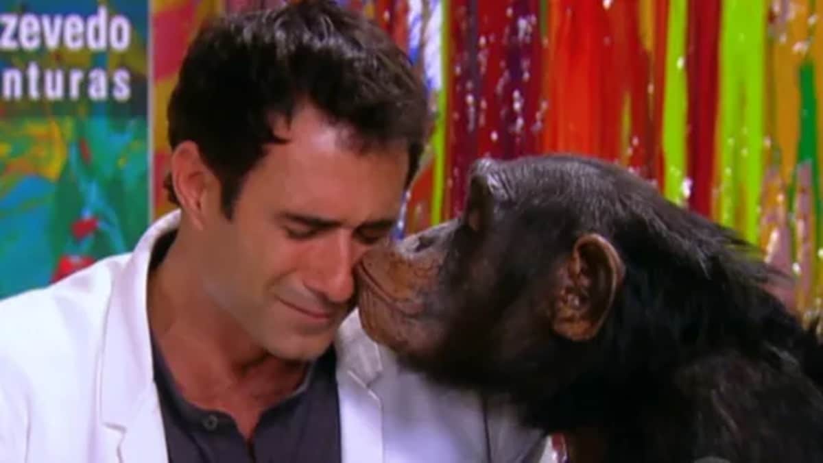 Marcos Pasquim e o 'macaco pintor' em cena de novela que será reprisada