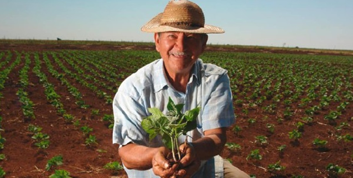Agricultor tem direito a programa de incentivo da Caixa Econômica Federal: Garantia-Safra (Foto: Reprodução/ Internet)