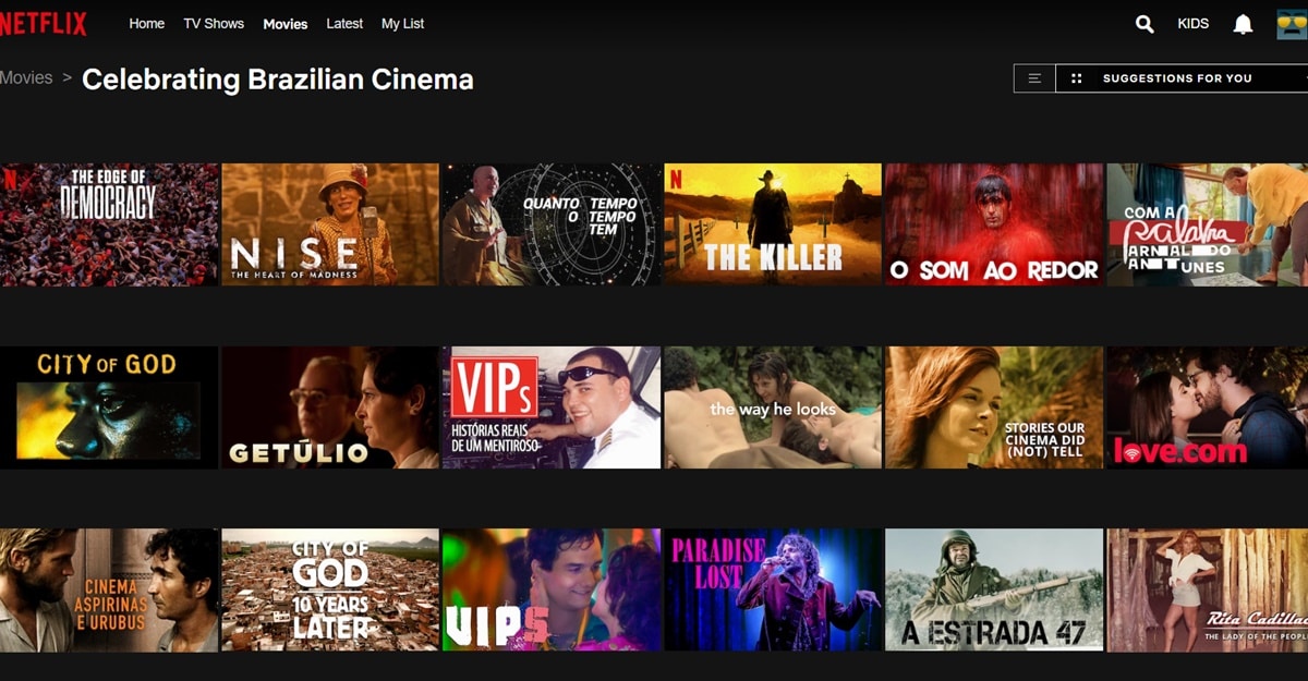 Catálogo da Netflix com filmes, séries e documentários nacionais (Foto: Reprodução/ Internet